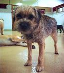 daycare pic 31 - baxter